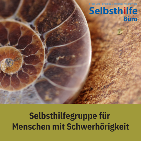 Foto einer Muschel