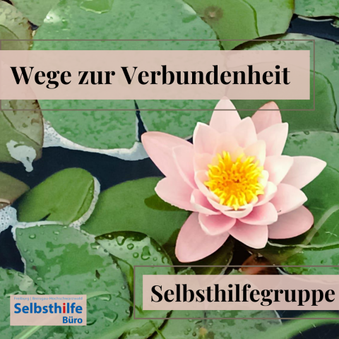 Foto einer Seerose - Wege zur Verbundenheit